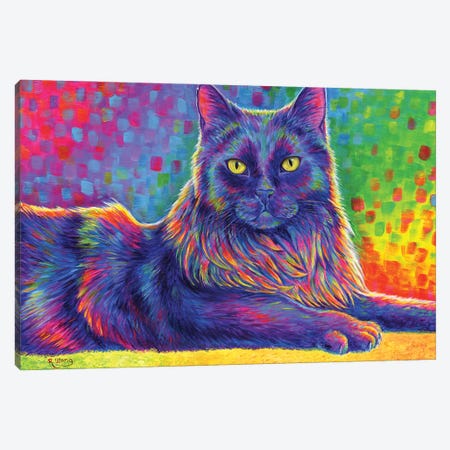 Psychedelic Rainbow Black Cat Canvas Print #RBW77} by Rebecca Wang Canvas Print