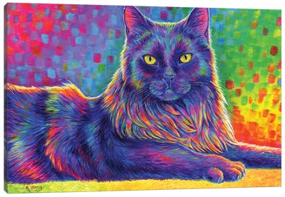 Psychedelic Rainbow Black Cat Canvas Art Print - Rebecca Wang