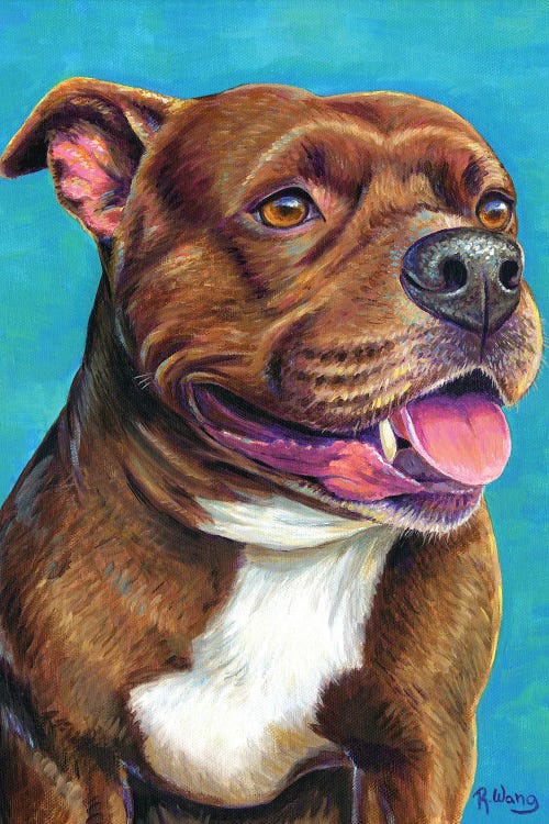 Staffordshire Bull Terrier Dog