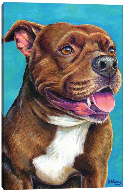 Staffordshire Bull Terrier Dog Canvas Art Print - Pit Bull Art