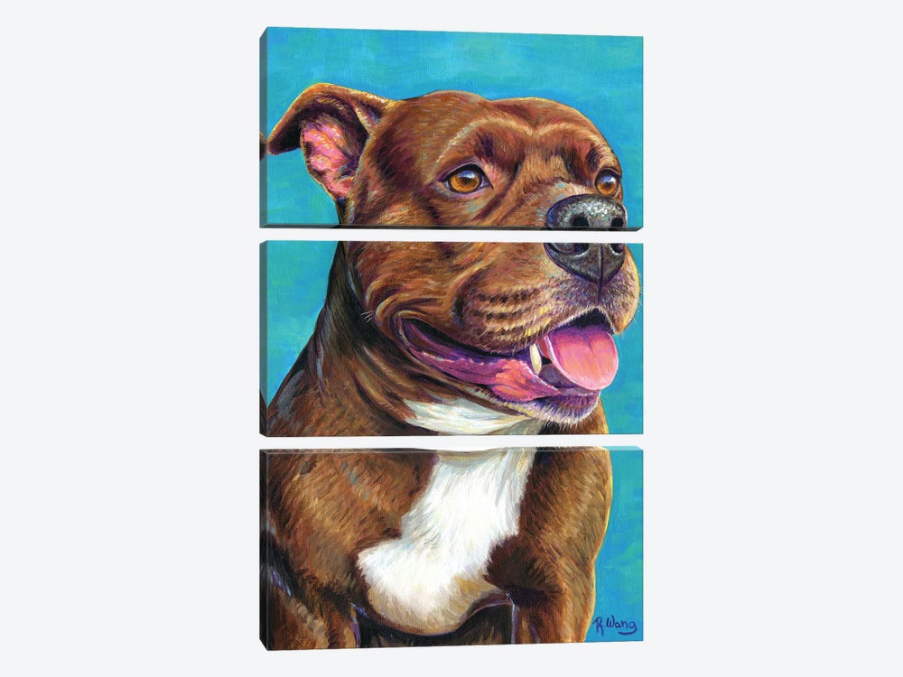 Staffordshire Bull Terrier Dog by Rebecca Wang 3-piece Canvas Art