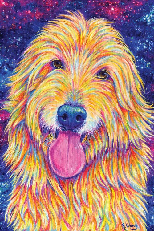 Starry Goldendoodle