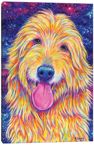 Starry Goldendoodle Canvas Art Print - Rebecca Wang