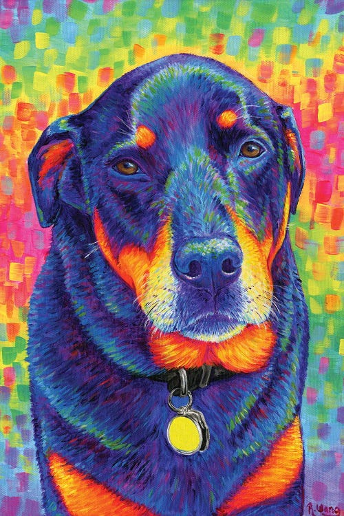 Rainbow Rottweiler