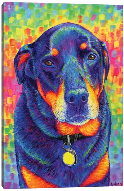 Rainbow Rottweiler Canvas Art Print - Rottweiler Art