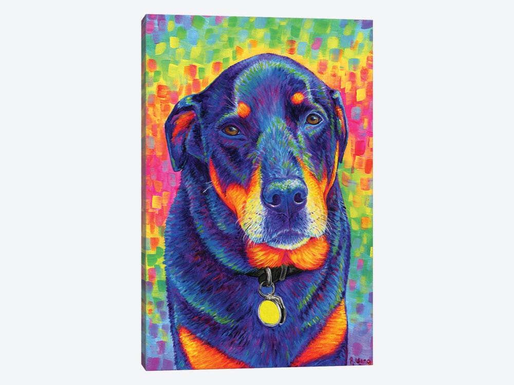 Rainbow Rottweiler by Rebecca Wang 1-piece Canvas Print