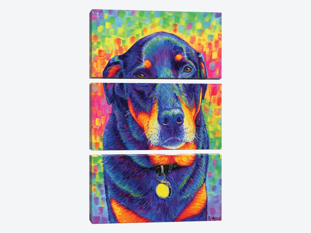 Rainbow Rottweiler by Rebecca Wang 3-piece Art Print