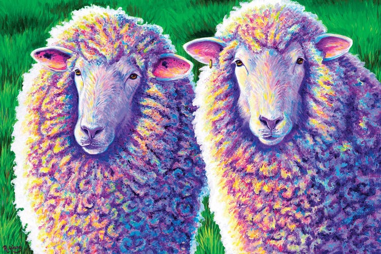 Two Colorful Sheep