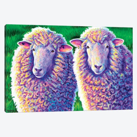 Two Colorful Sheep Canvas Print #RBW81} by Rebecca Wang Art Print