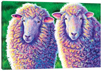 Two Colorful Sheep Canvas Art Print - Sheep Art