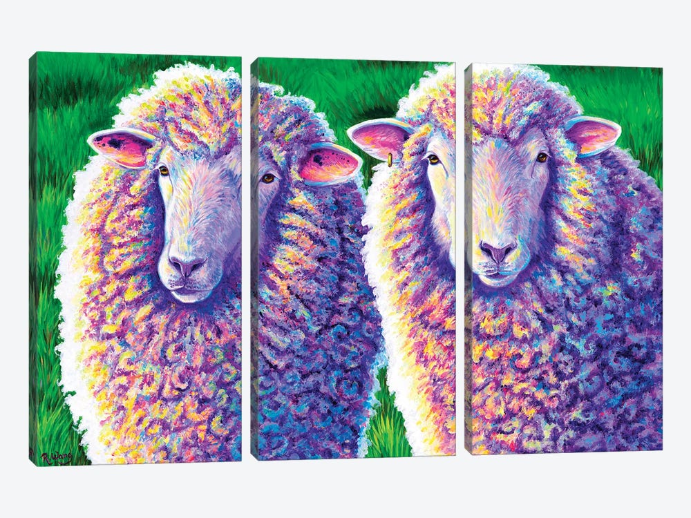 Two Colorful Sheep by Rebecca Wang 3-piece Canvas Wall Art