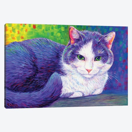 Vibrant Tuxedo Cat Canvas Print #RBW82} by Rebecca Wang Art Print