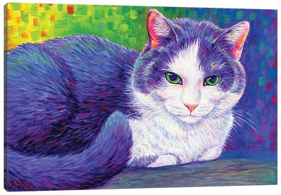Vibrant Tuxedo Cat Canvas Art Print - Rebecca Wang