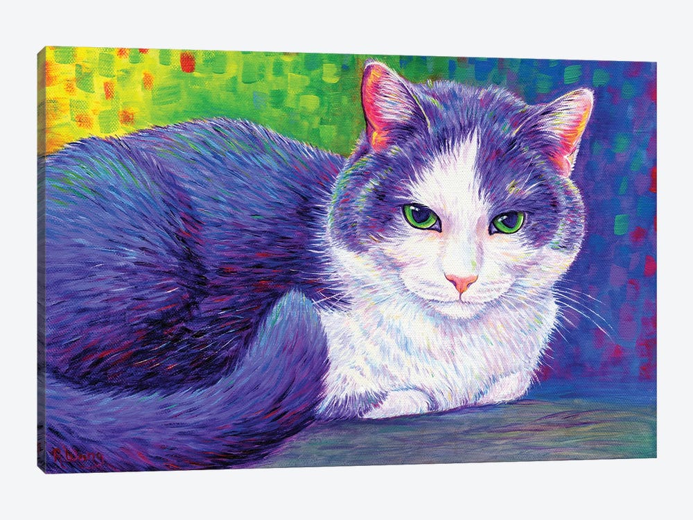 Vibrant Tuxedo Cat by Rebecca Wang 1-piece Canvas Art Print