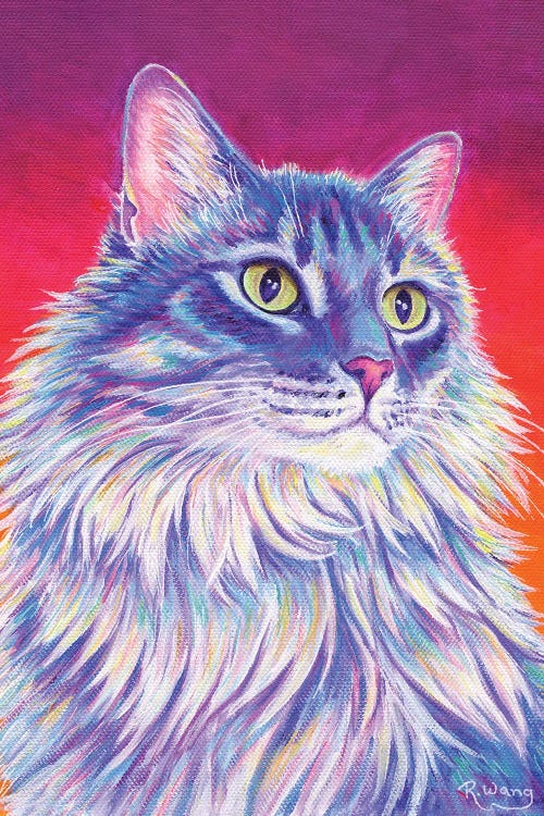 Longhaired Purple Tabby Cat