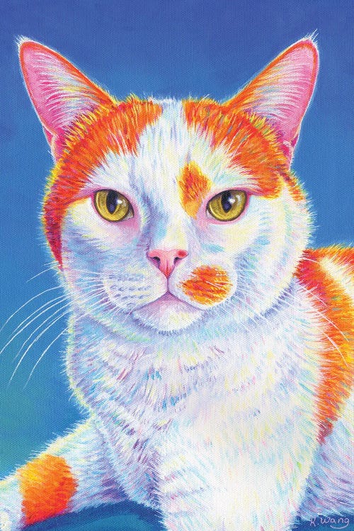 Colorful Orange And White Cat