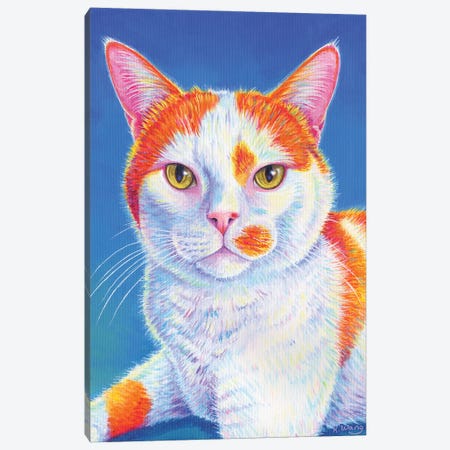 Colorful Orange And White Cat Canvas Print #RBW84} by Rebecca Wang Canvas Art
