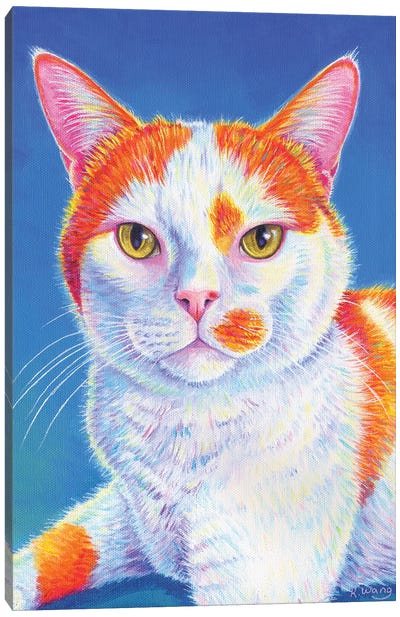 Colorful Orange And White Cat Canvas Art Print - Rebecca Wang