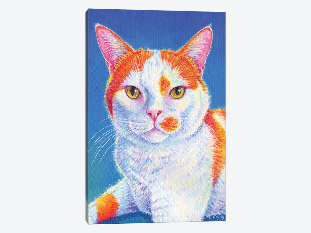 Colorful Orange And White Cat by Rebecca Wang 1-piece Art Print