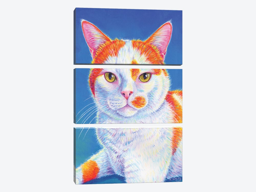 Colorful Orange And White Cat by Rebecca Wang 3-piece Canvas Print