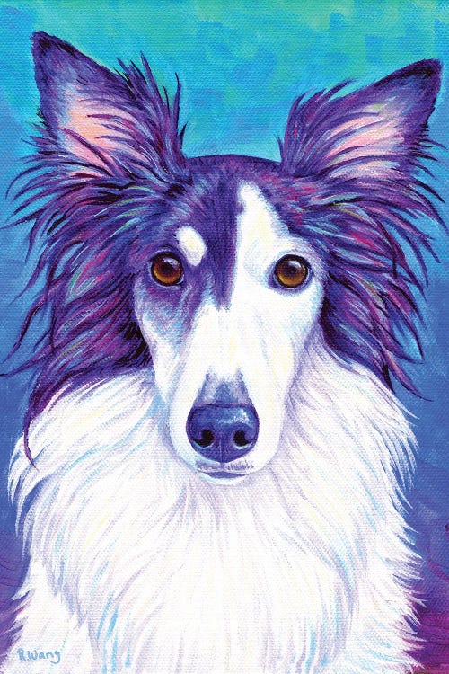 Colorful Silken Windhound