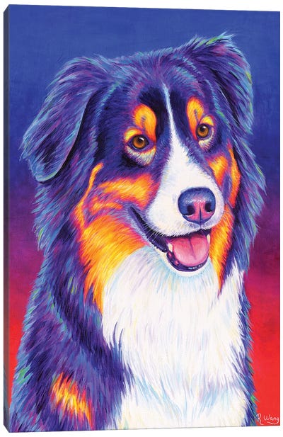 Colorful Tricolor Australian Shepherd Canvas Art Print - Australian Shepherd Art