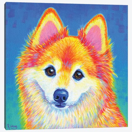 Cute Colorful Pomeranian Canvas Print #RBW87} by Rebecca Wang Canvas Art