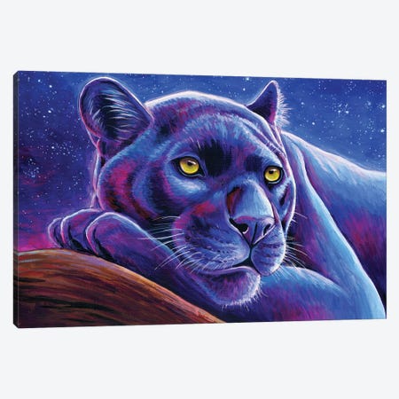 Stargazing Black Leopard Canvas Print #RBW88} by Rebecca Wang Canvas Print