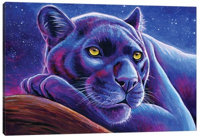 Stargazing Black Leopard Canvas Art Print - Rebecca Wang