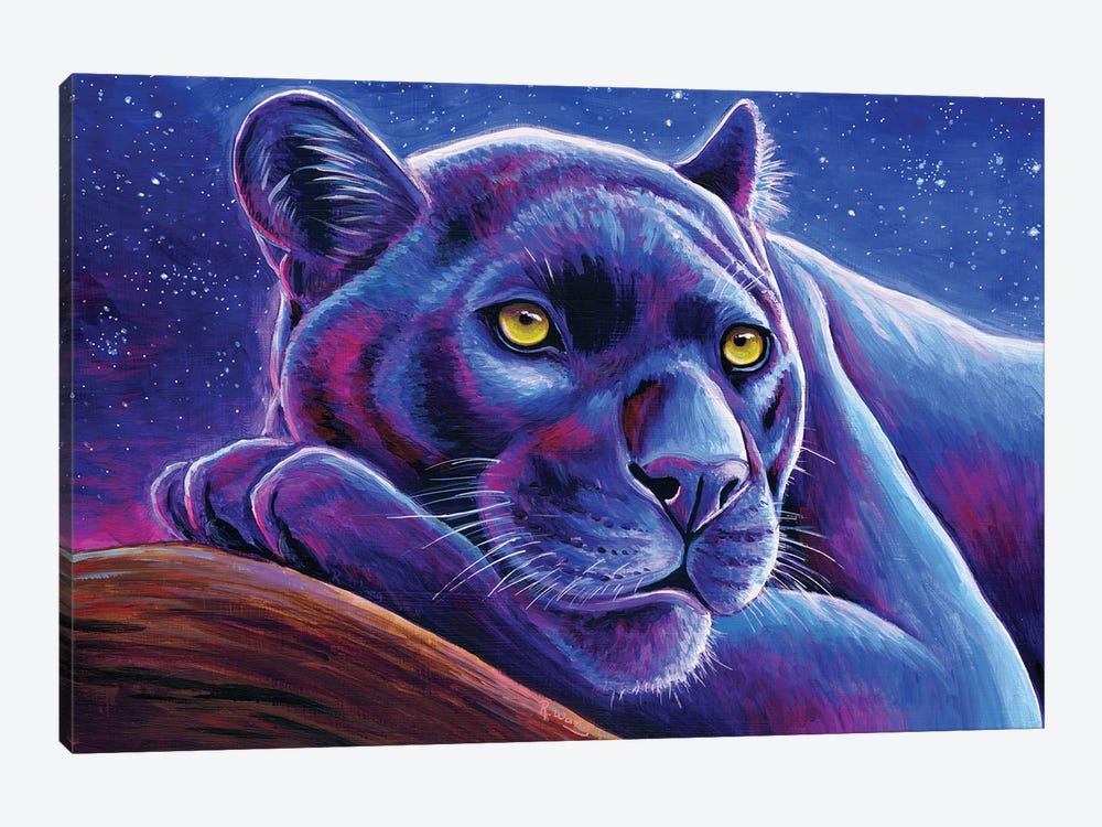 Stargazing Black Leopard by Rebecca Wang 1-piece Art Print