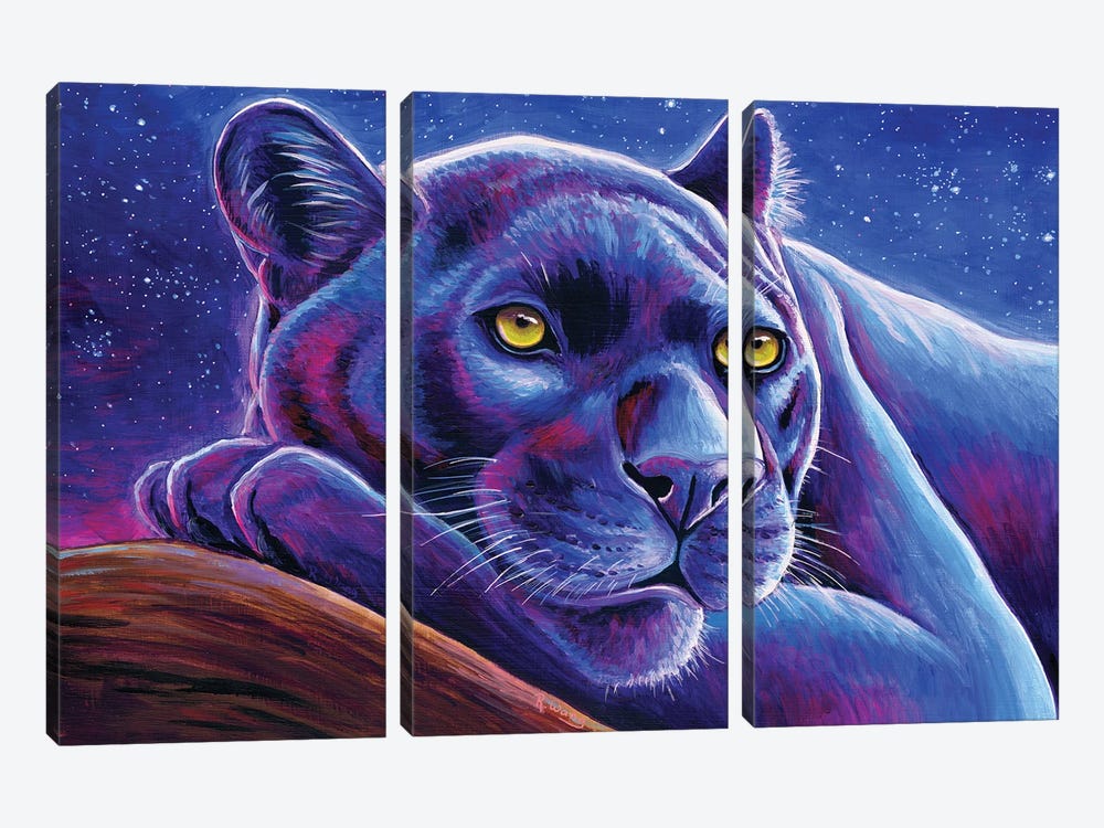 Stargazing Black Leopard by Rebecca Wang 3-piece Canvas Print