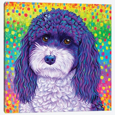 Party Poodle Canvas Print #RBW89} by Rebecca Wang Canvas Print