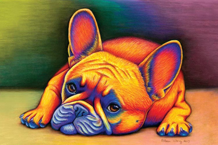 Daydreamer - French Bulldog