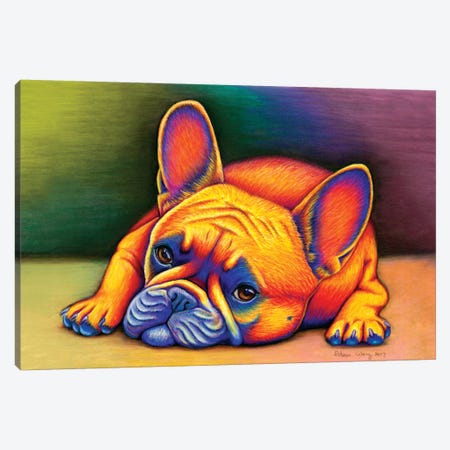 Daydreamer - French Bulldog Canvas Print #RBW8} by Rebecca Wang Art Print