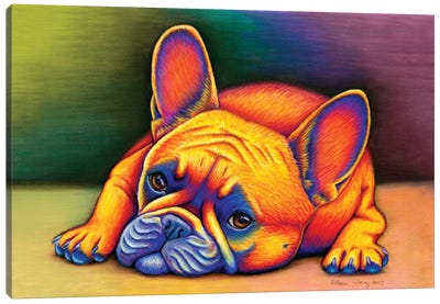 Daydreamer - French Bulldog Canvas Art Print - Chromatic Kingdom