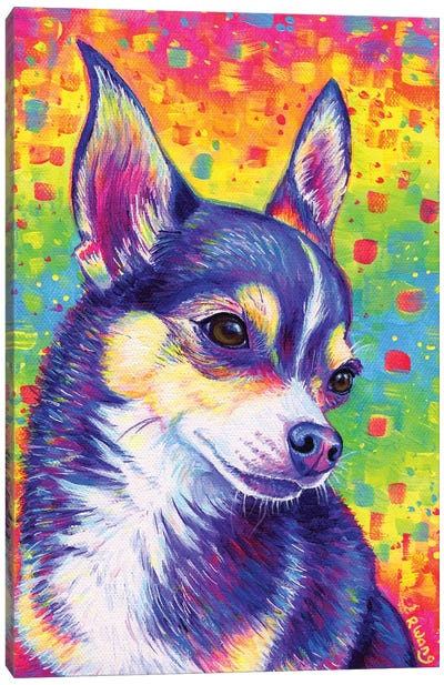 Psychedelic Rainbow Cute Chihuahua Canvas Art Print - Rebecca Wang