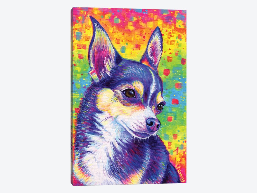 Psychedelic Rainbow Cute Chihuahua by Rebecca Wang 1-piece Canvas Wall Art