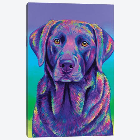 Purple Chocolate Labrador Canvas Print #RBW91} by Rebecca Wang Canvas Wall Art