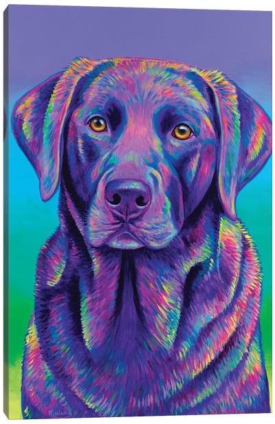 Purple Chocolate Labrador Canvas Art Print - Rebecca Wang
