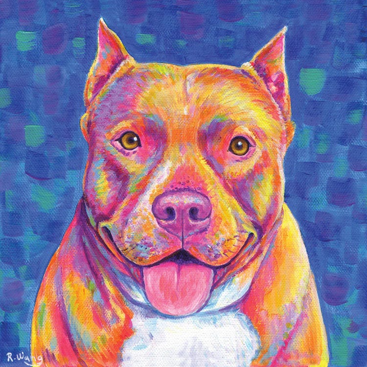 Rainbow Pitbull Terrier