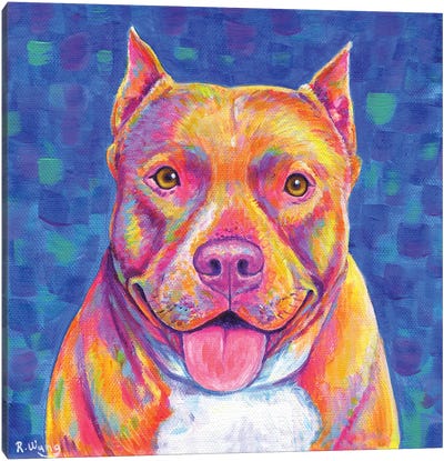 Rainbow Pitbull Terrier Canvas Art Print - Rebecca Wang