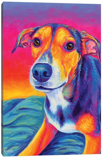 Beagle Mixed Breed Dog Canvas Art Print - Rebecca Wang