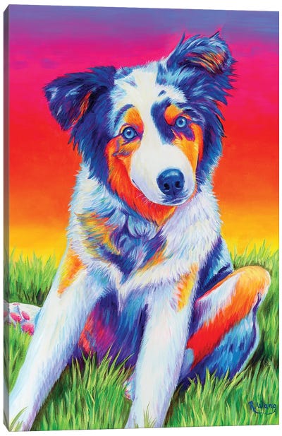 Blue Merle Australian Shepherd Puppy Canvas Art Print - Grasses