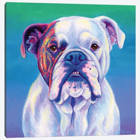 Cute English Bulldog Canvas Print #RBW95} by Rebecca Wang Canvas Art Print