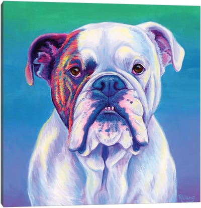 Cute English Bulldog Canvas Art Print - Bulldog Art