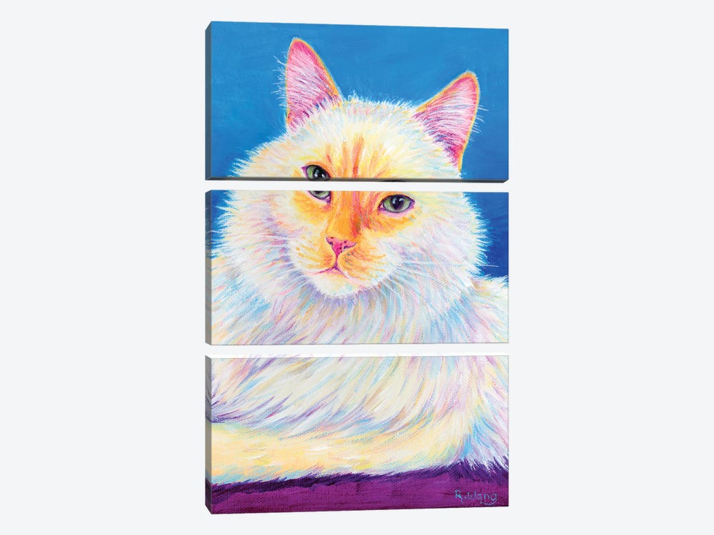 Fluffy Flame Point Siamese Cat by Rebecca Wang 3-piece Canvas Artwork