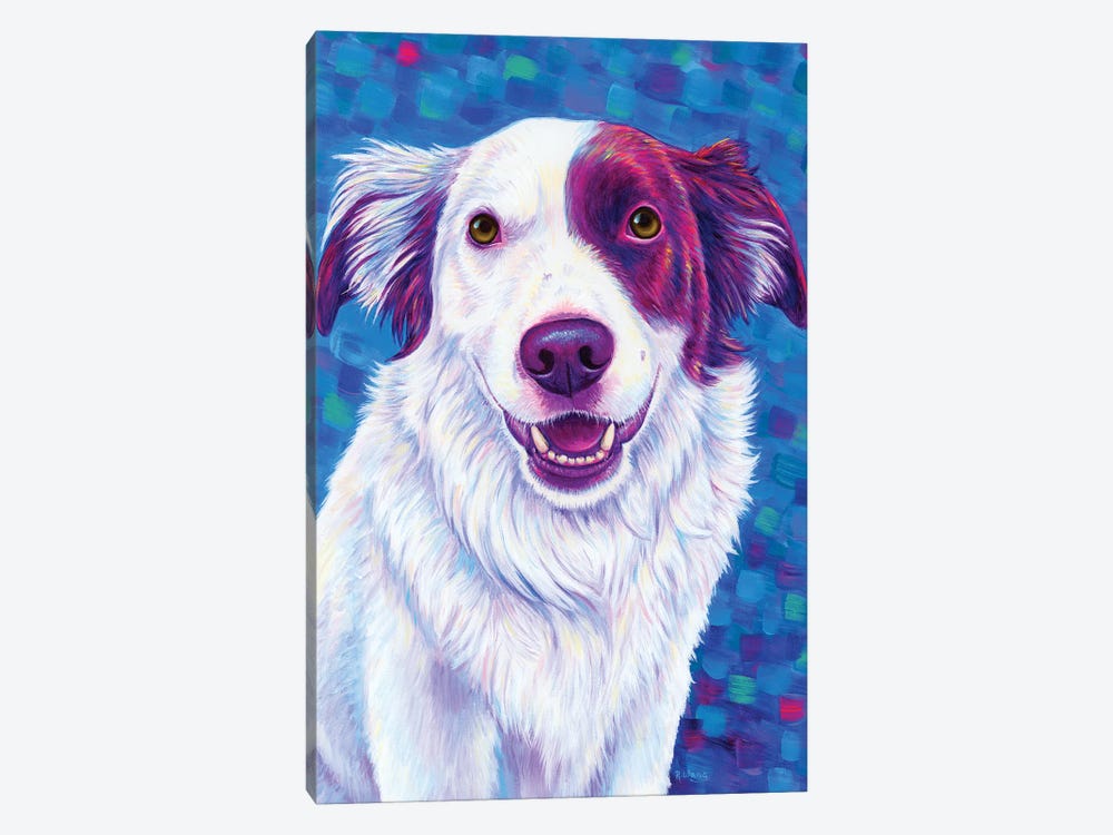 Beautiful Border Collie Dog by Rebecca Wang 1-piece Art Print