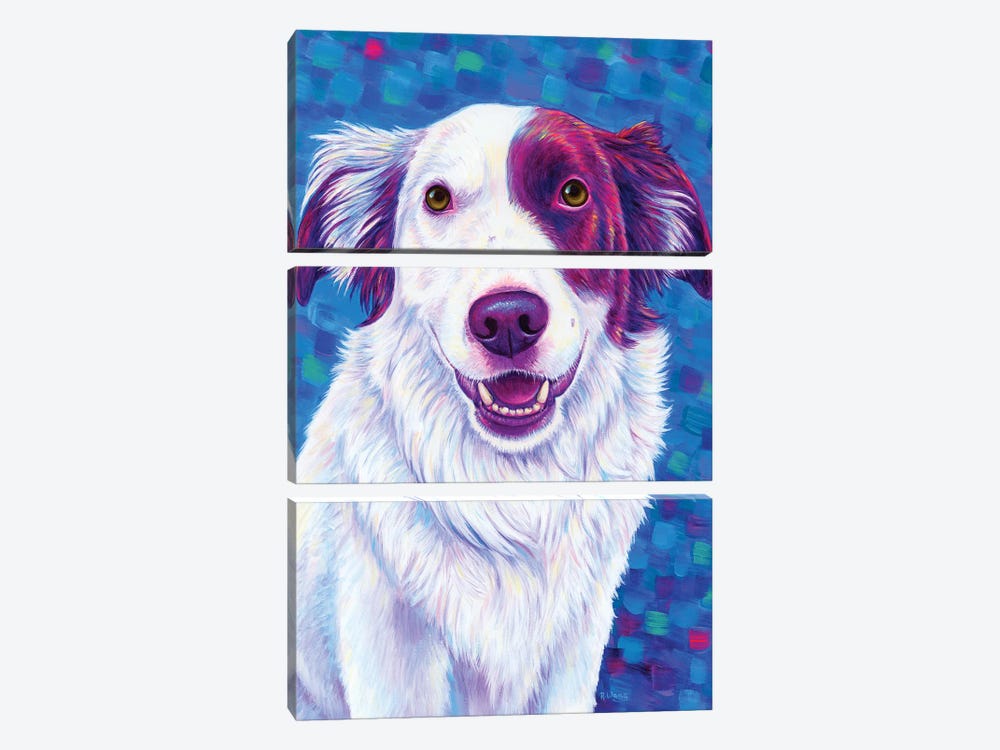 Beautiful Border Collie Dog by Rebecca Wang 3-piece Canvas Art Print