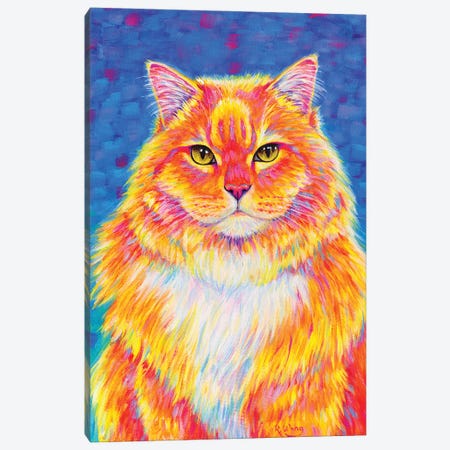 Orange Buff Tabby Cat Canvas Print #RBW98} by Rebecca Wang Canvas Wall Art