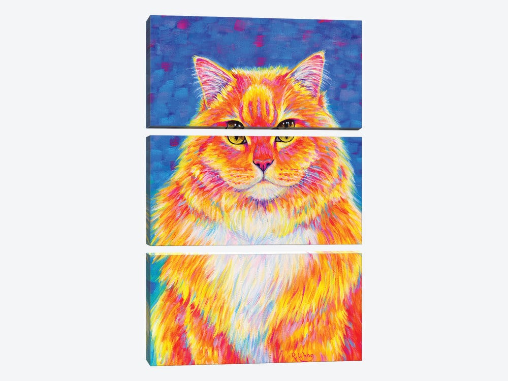 Orange Buff Tabby Cat by Rebecca Wang 3-piece Canvas Artwork